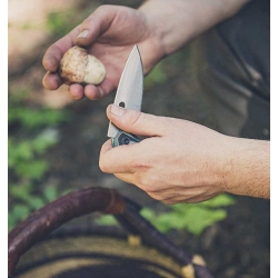 Nóż składany Sumo - Czarny - Gerber